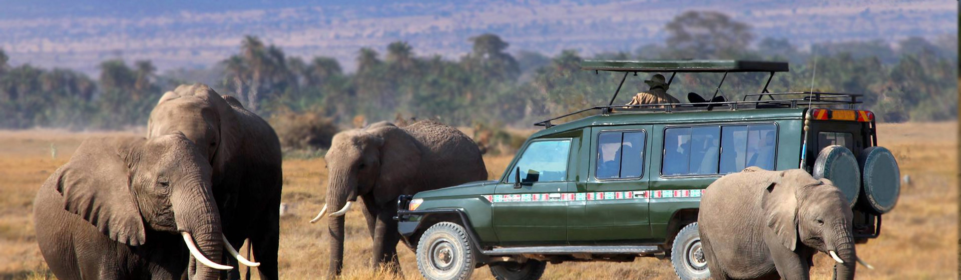 14 Days Kenya Luxury Safaris