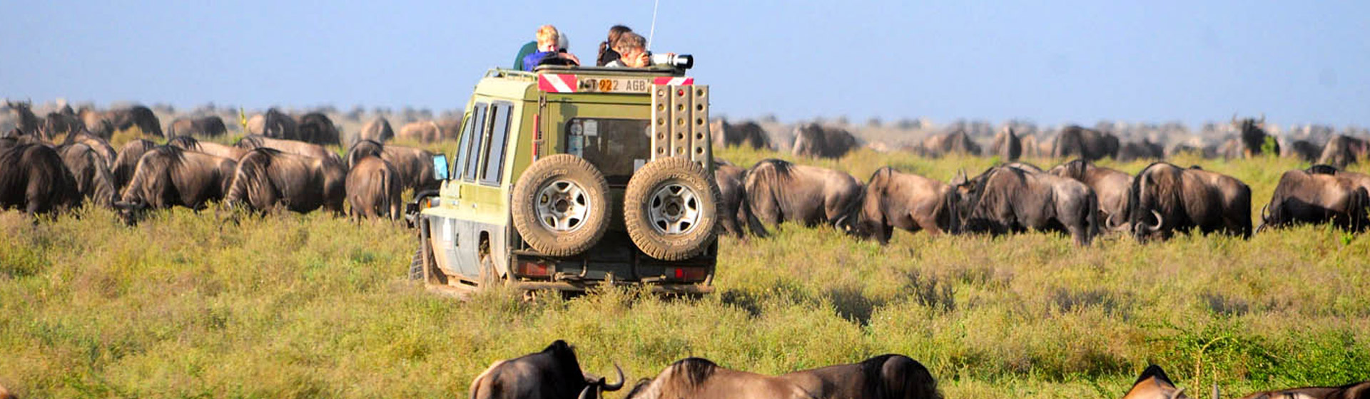 Tanzania Northern Safari