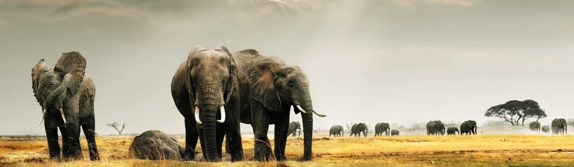 Amboseli National Park