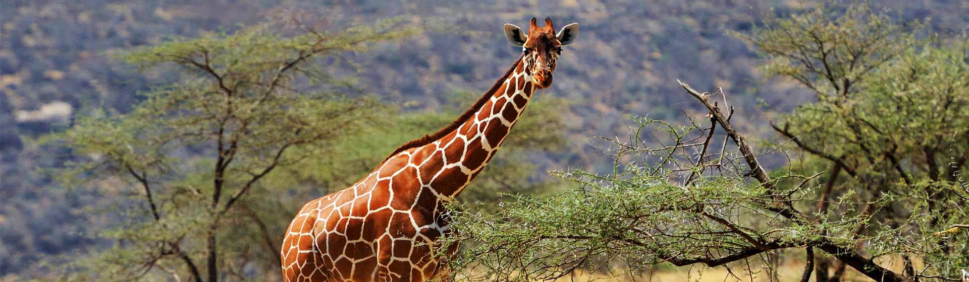 Arusha National Park