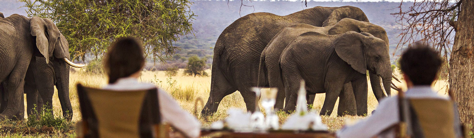 Kenya Tanzania Luxury Safaris