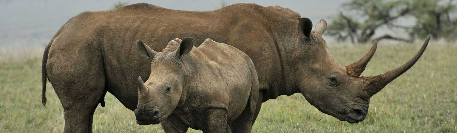 Laikipia National Park