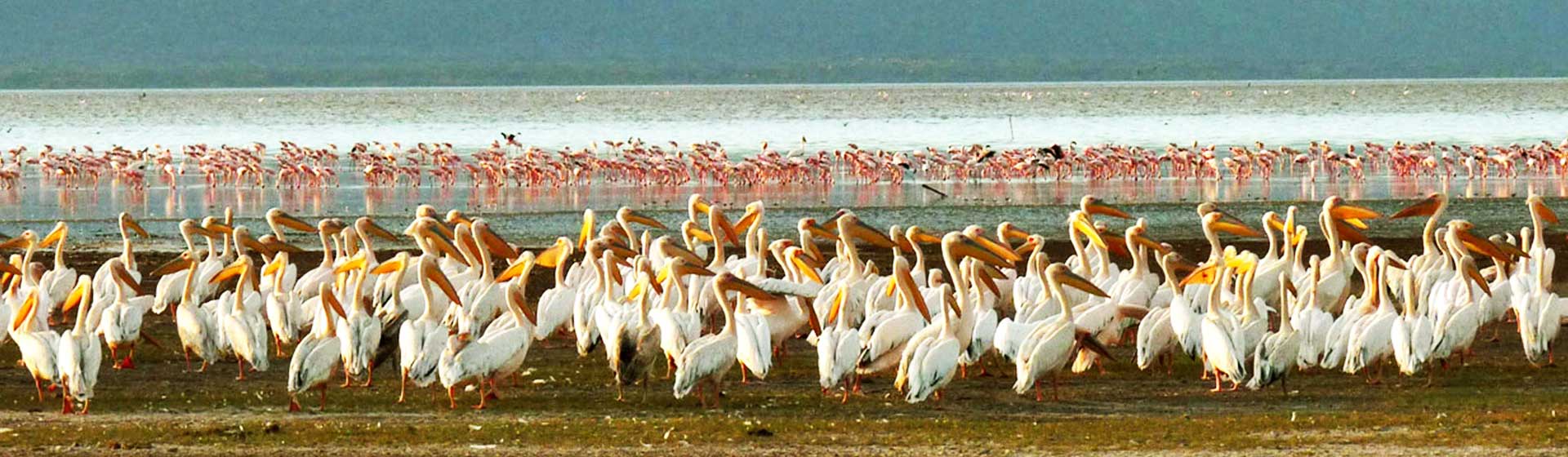 Lake Manyara National Park