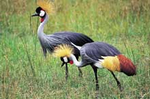 Lake Manyara National Park