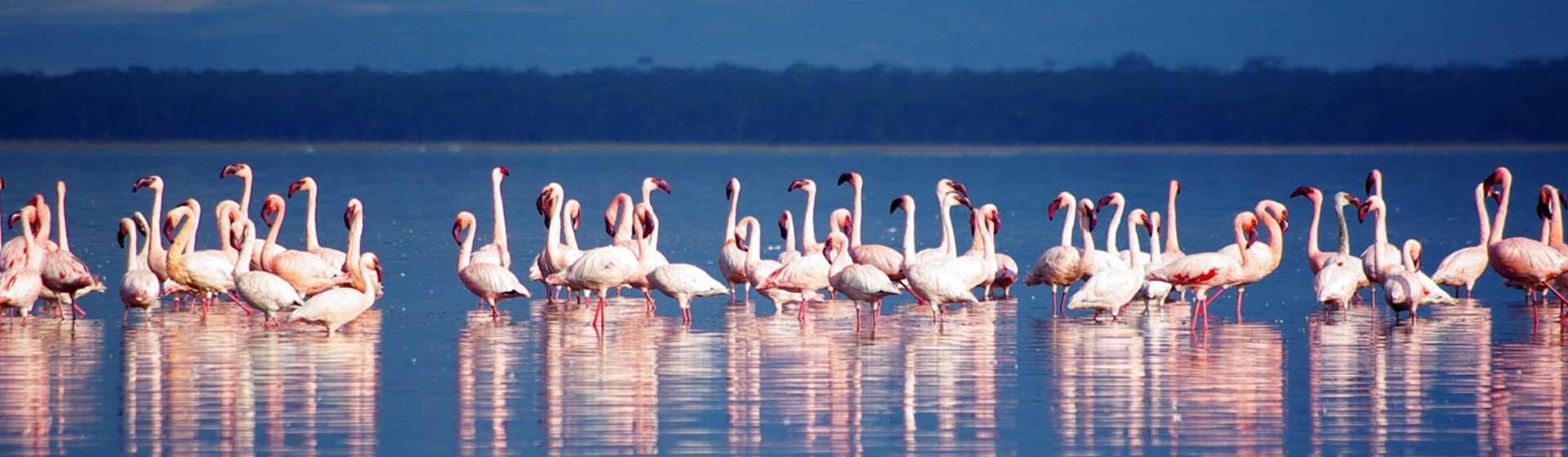 Lake Nakuru National Park