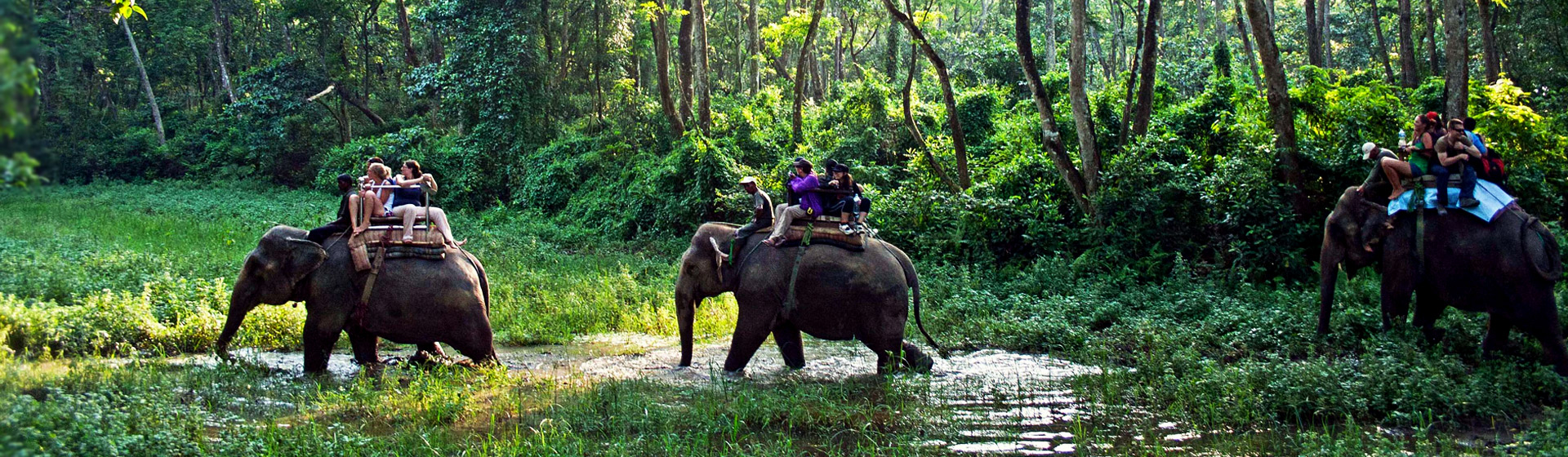 Mikumi National Park