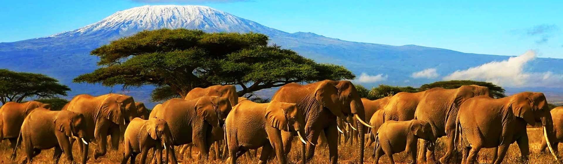 Mount Kilimanjaro National Park