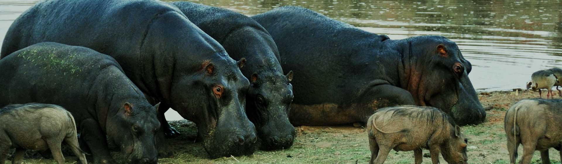 Ngorongoro Conservation Area