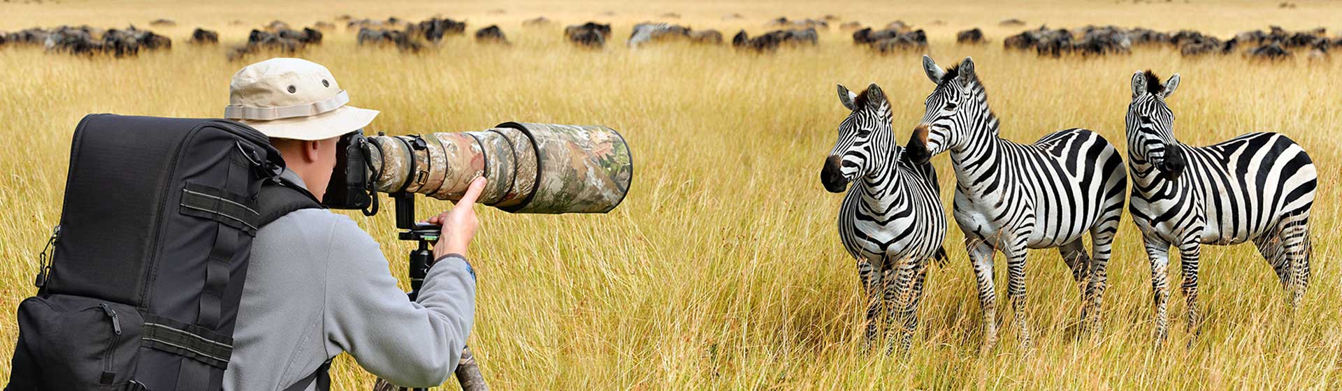 Photographic Safaris