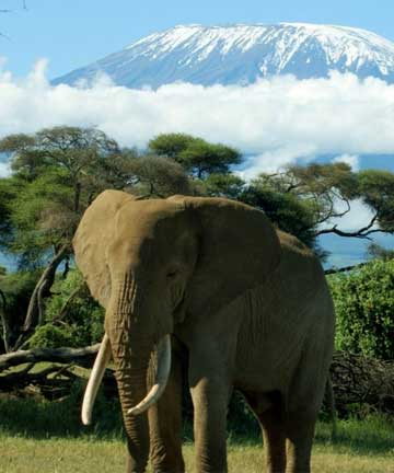 Mount Kilimanjaro National Park