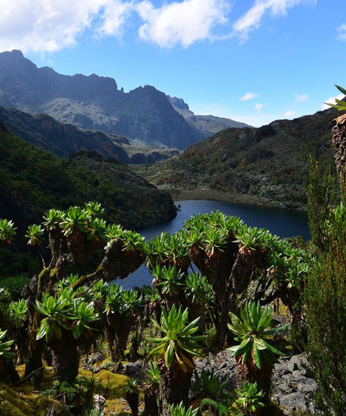 Rwenzori Mountains National Park