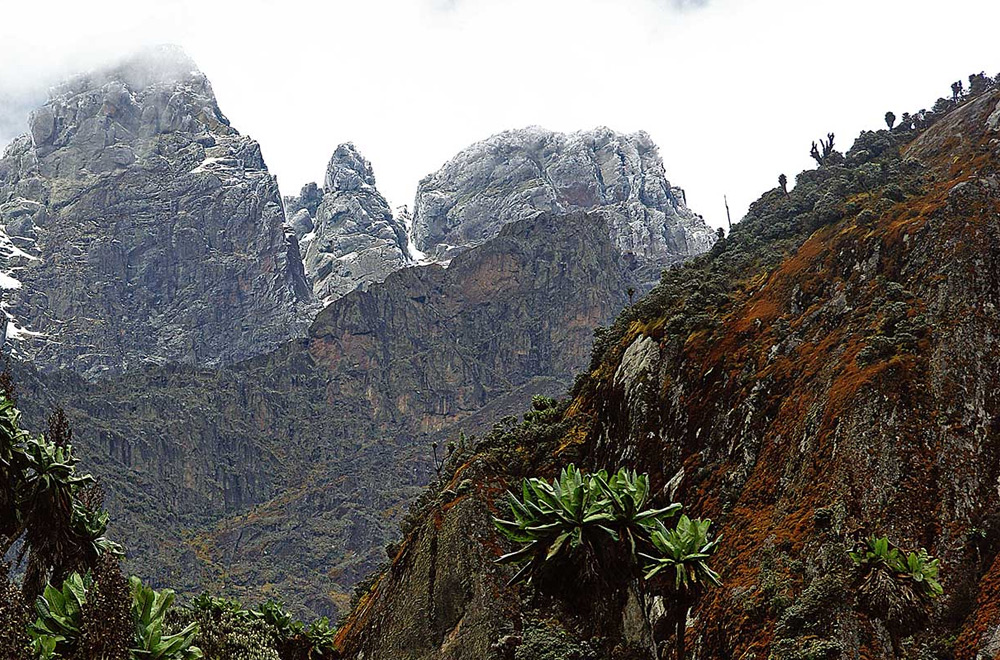 Rwenzori Mountains National Park | Encircle East Africa