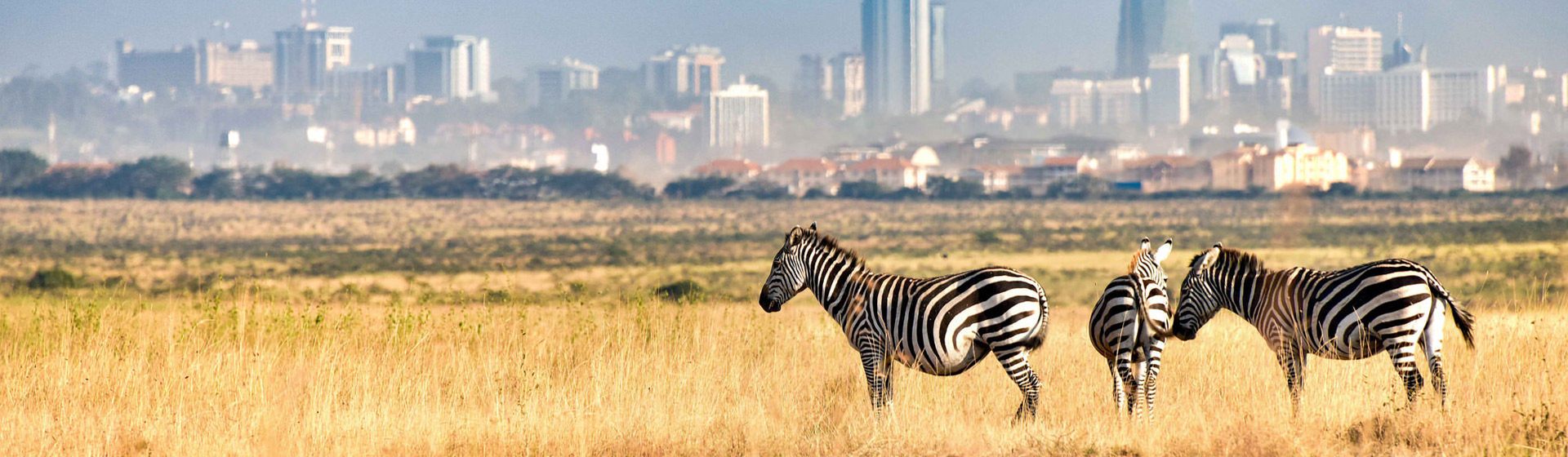 Saadani National park