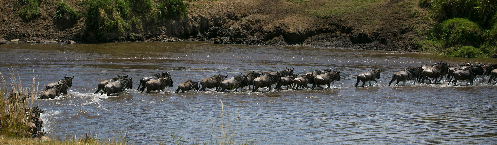 Serengeti National Park