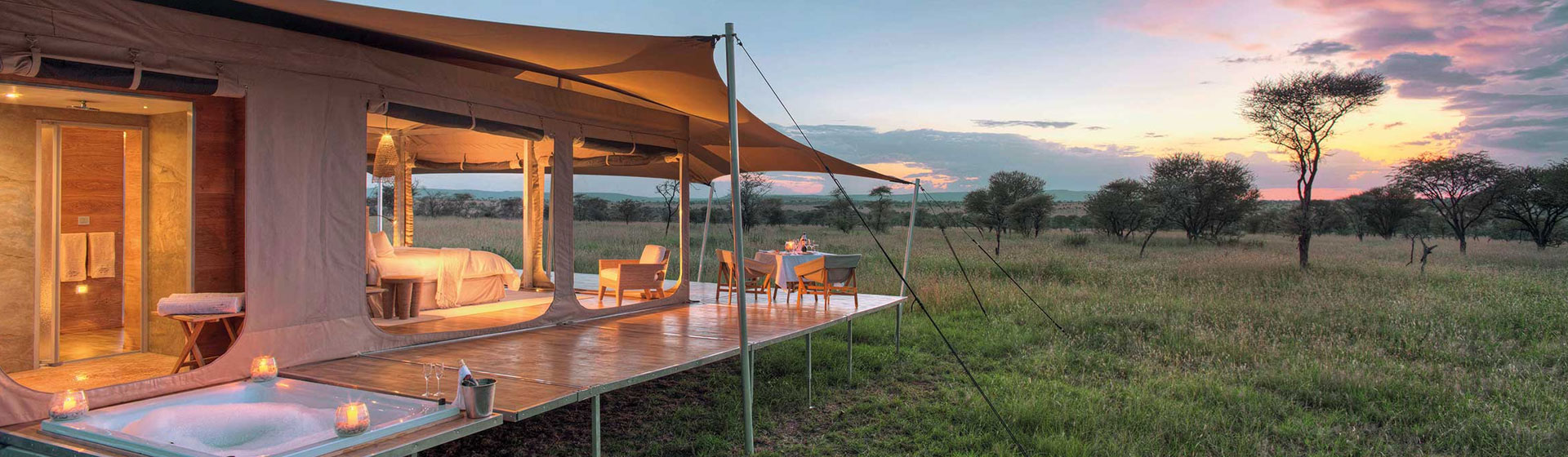 Luxury Safaris