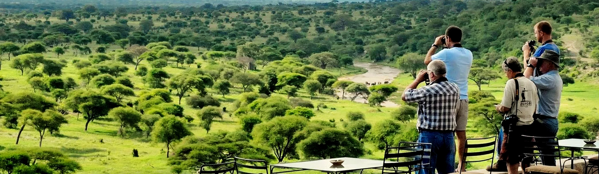 Tanzania shared Safari